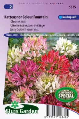 Kattensnor Cleome spinosa Colour Fountain mix 5335