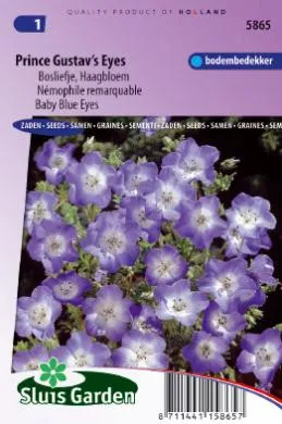 Bosliefje of Nemophila
